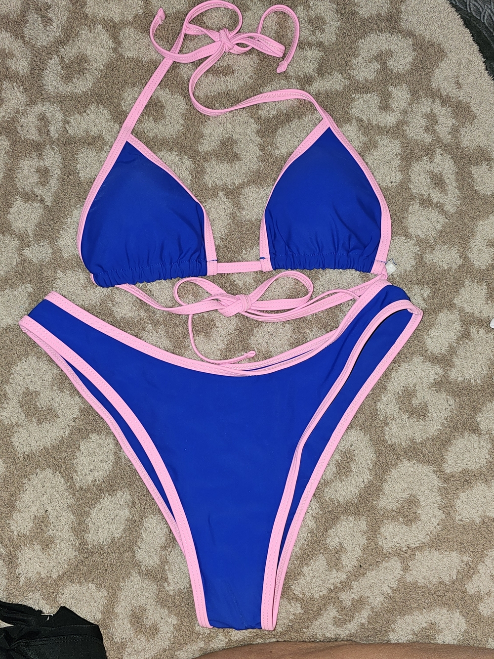 Blue and Pink Trim Two-Piece Swimsuit